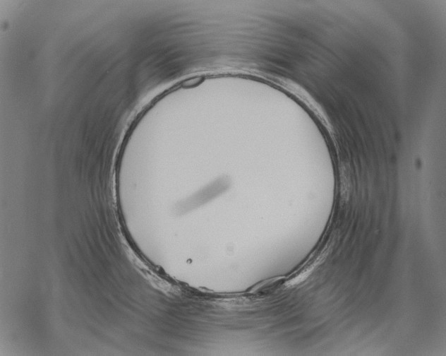 X0000068261388200605191752