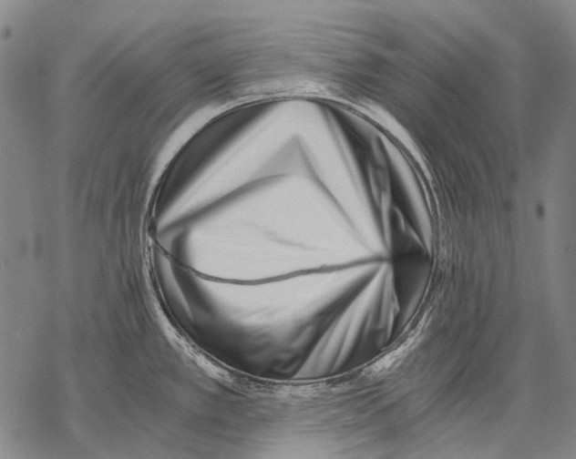 X0000068261389200605191752