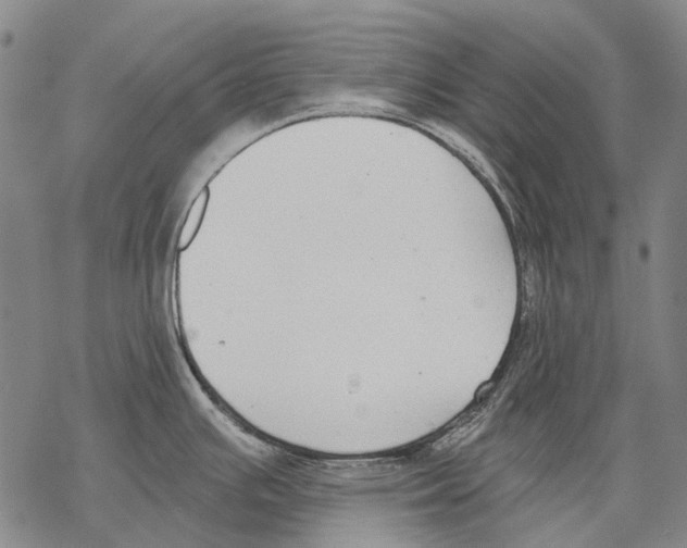 X0000068261391200605191752