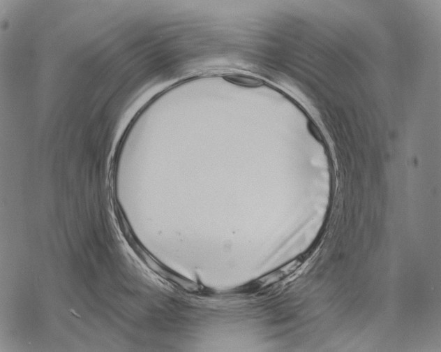 X0000068261392200605191752