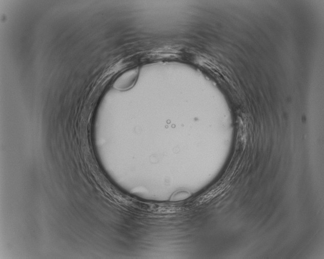 X0000068261393200605191751