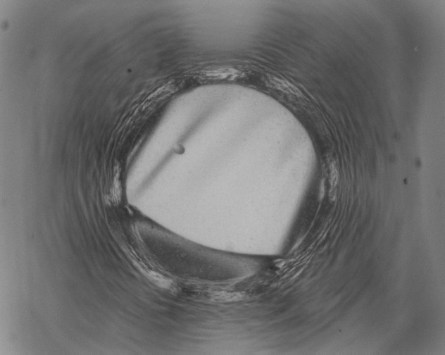 X0000068261394200605191751