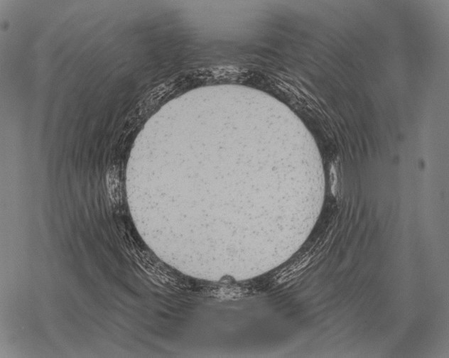 X0000068261395200605191751