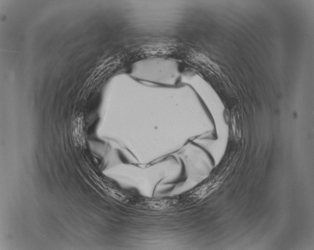 X0000068261396200605191751