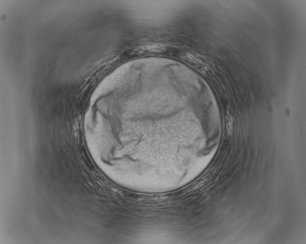 X0000068261397200605191751