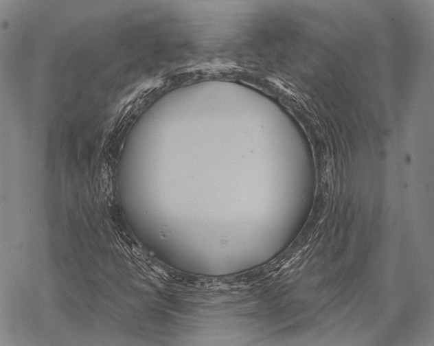 X0000068261398200605191751