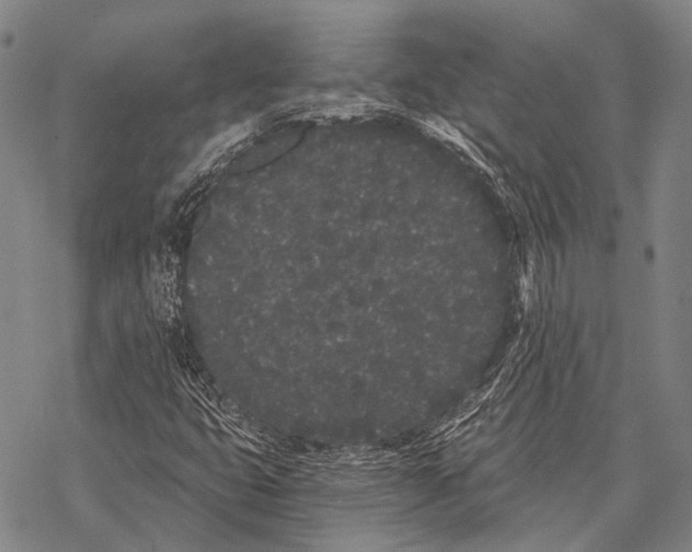 X0000068261399200605191751