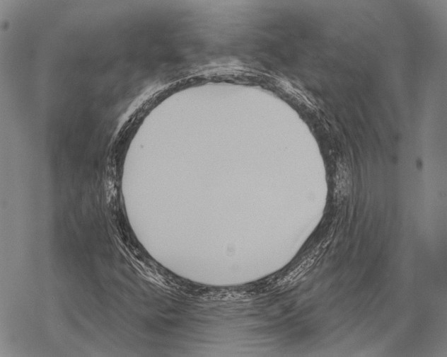 X0000068261400200605191751