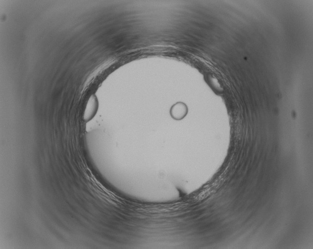 X0000068261402200605191751