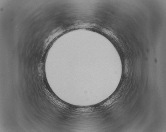 X0000068261404200605191751