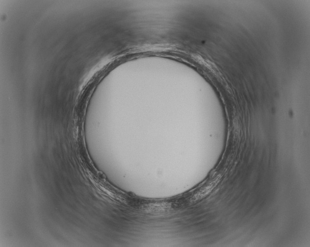 X0000068261406200605191751