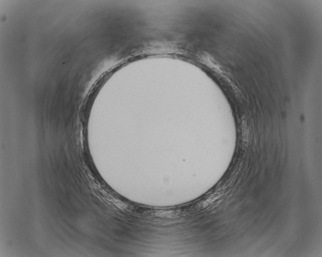 X0000068261408200605191751