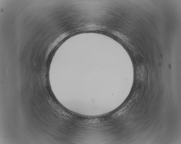 X0000068261410200605191751