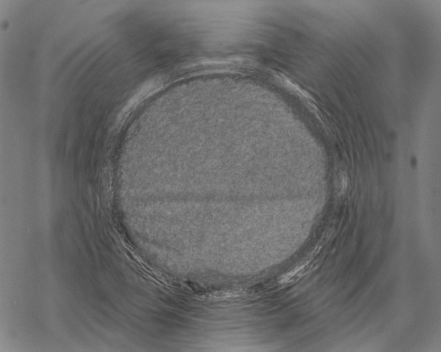 X0000068261411200605191751