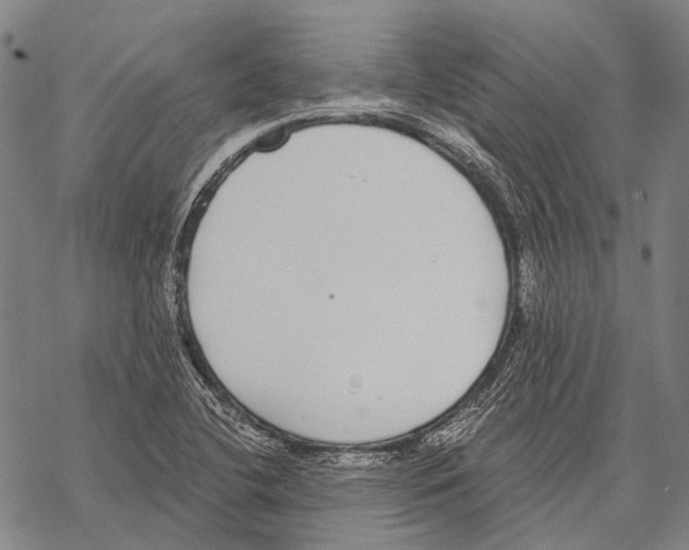 X0000068261412200605191751