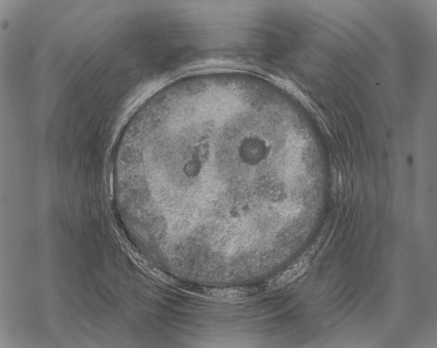 X0000068261413200605191751