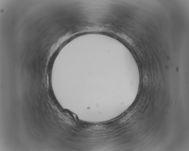 X0000068261414200605191751