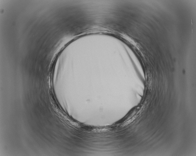 X0000068261415200605191751