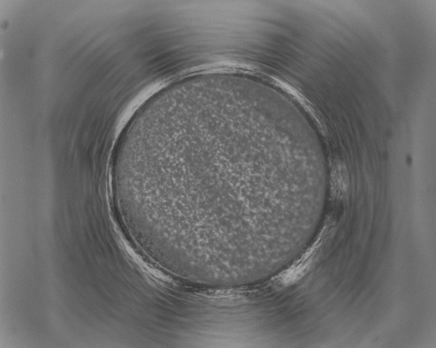 X0000068261418200605191751