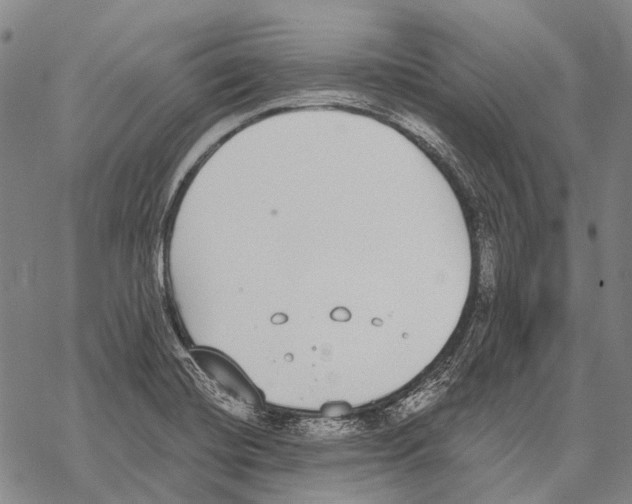 X0000068261420200605191751