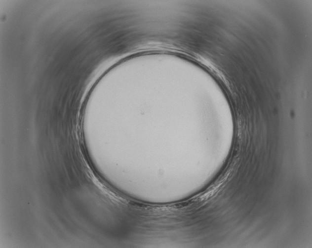 X0000068261421200605191751