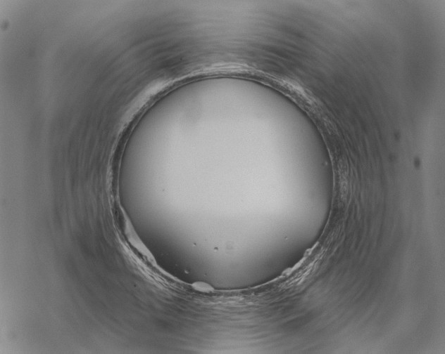 X0000068261422200605191751