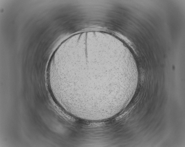 X0000068261423200605191751