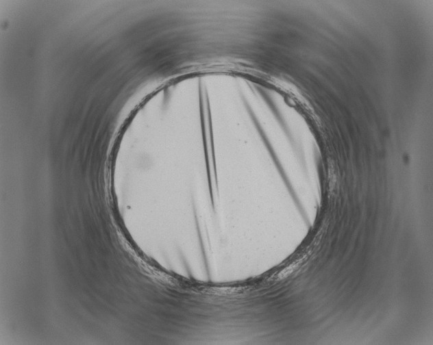 X0000068261424200605191752