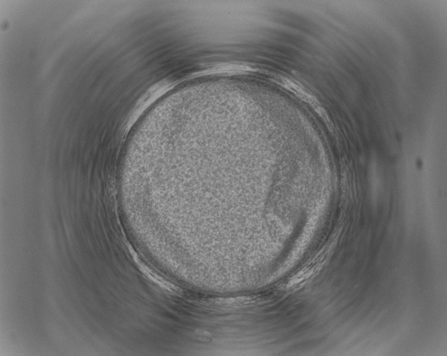 X0000068261425200605191752