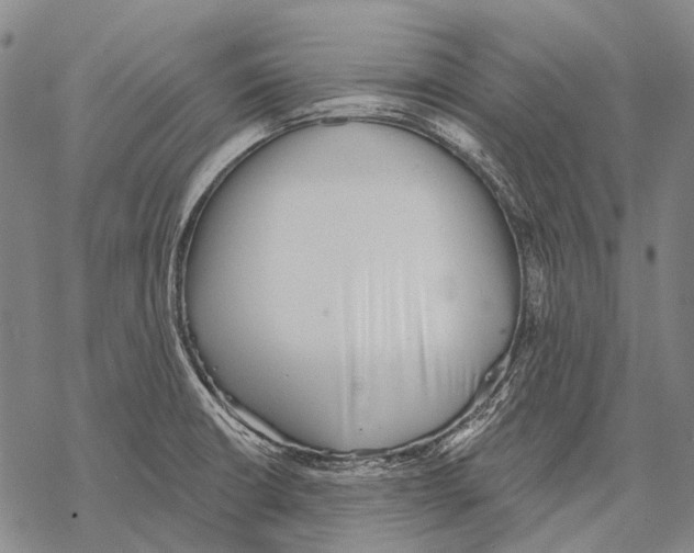 X0000068261426200605191752