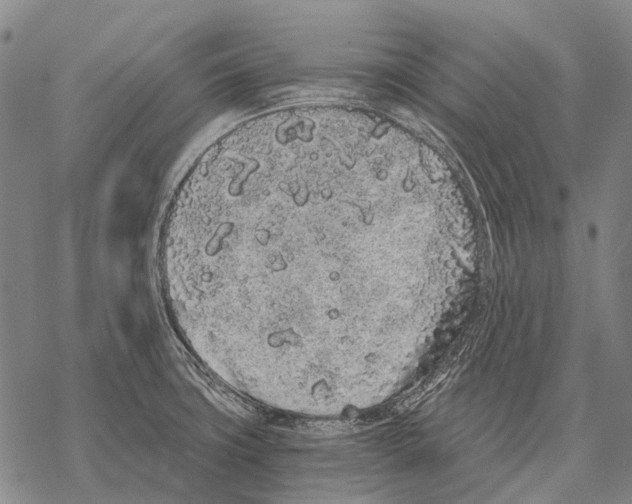 X0000068261427200605191752