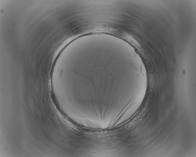 X0000068261428200605191752