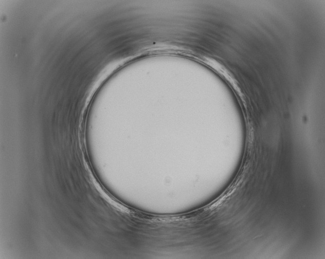 X0000068261429200605191752