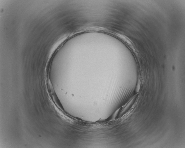 X0000068261430200605191752