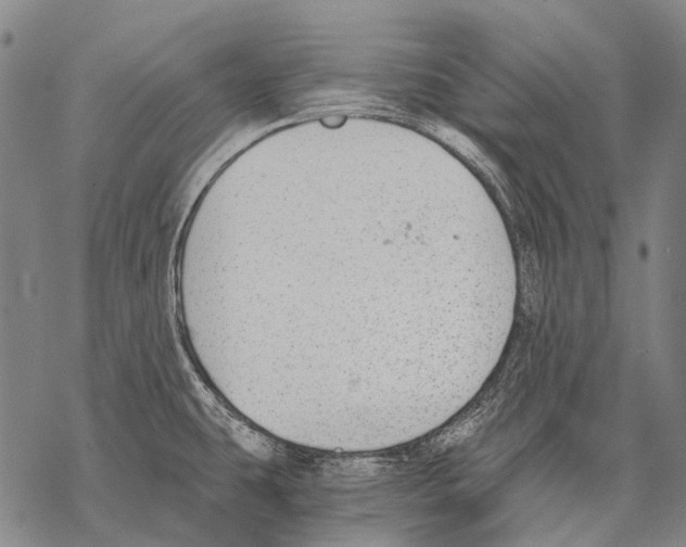 X0000068261431200605191752