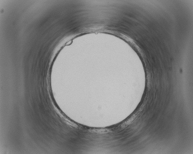 X0000068261432200605191752