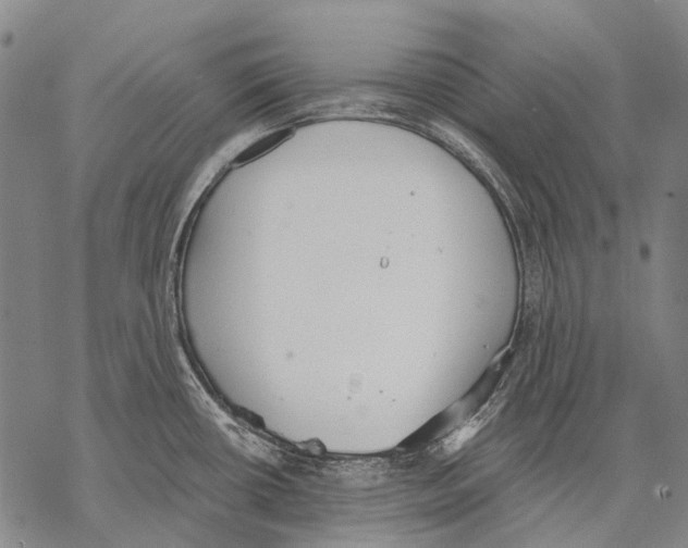 X0000068261434200605191752