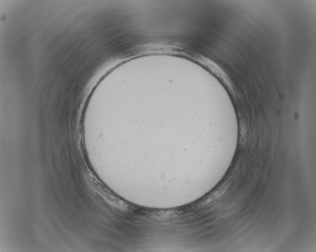 X0000068261435200605191752