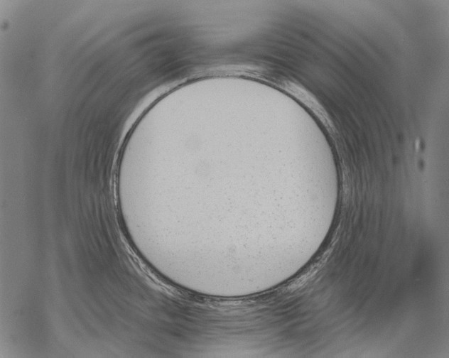 X0000068261436200605191752