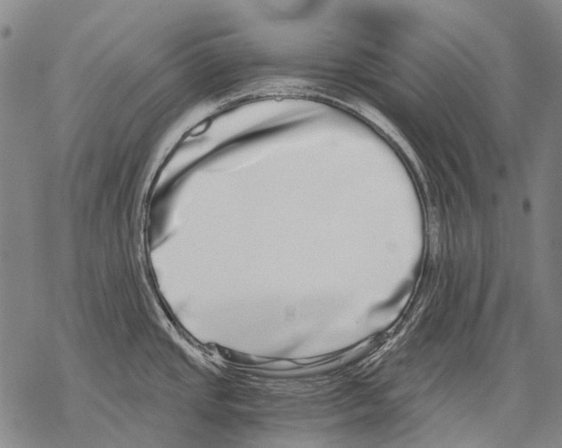 X0000068261437200605191752