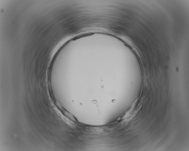 X0000068261438200605191752