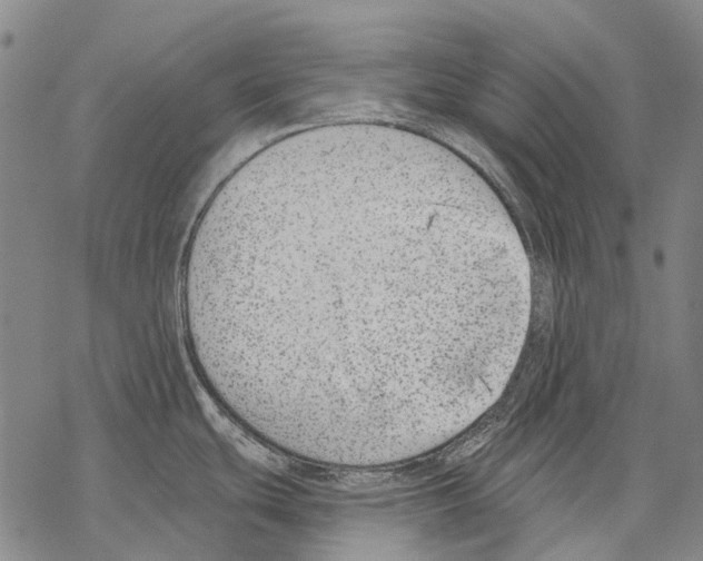 X0000068261439200605191752