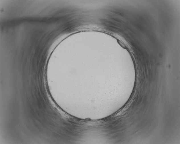 X0000068261440200605191752