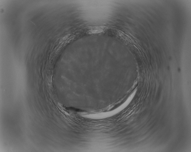 X0000068261441200605191751