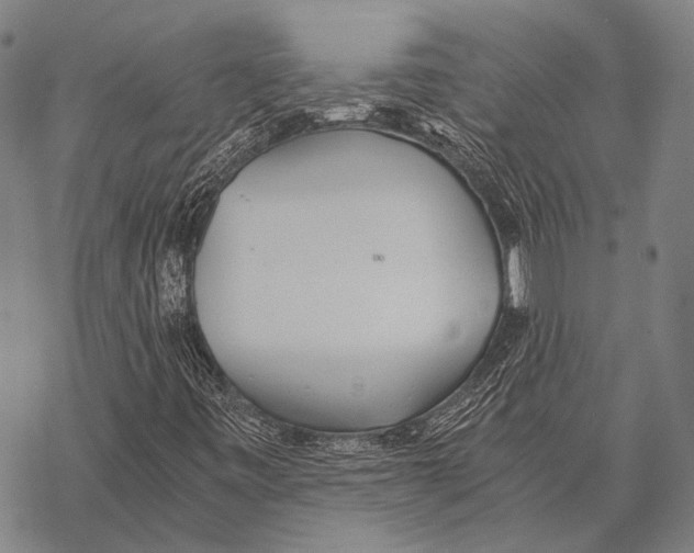 X0000068261443200605191751