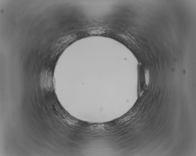 X0000068261444200605191751