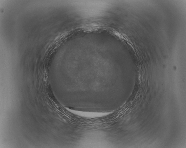 X0000068261445200605191751