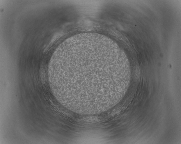 X0000068261446200605191751