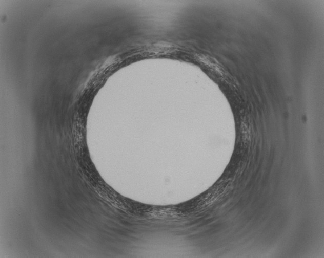 X0000068261447200605191751