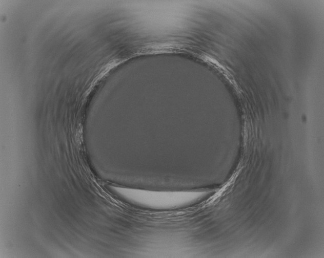 X0000068261449200605191751